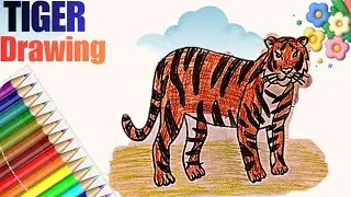 Easy Tiger Drawing Tutorial for kids and Beginners No Skills Needed 🐯 🐯