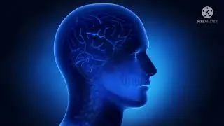 HEALING SOUNDS BRAIN  DOCTOR DESIGNED FOR STUDY, MEDITATION, MEMORY, FOCUS