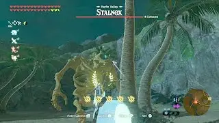 Zelda: BOTW (Lord of the Mountain VS Stalnox)