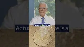 Wild Rice - A Healthy Alternative? | Ask Gundry MD