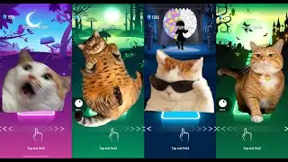 Super Funny Cats - Tiles Hop EDM Rush