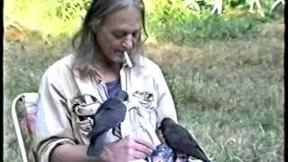 Brandau Birds Life 30