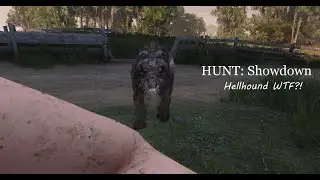 HUNT: Showdown - HellHound WTF