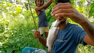 Survival Skils:Tiny Fish Trap,Village Fishing,পুঠি মাছ,শিঙৰী মাছ,টেংৰা মাছ#fishing#trap#tiktok#hand