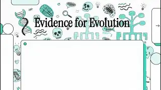 Top 7 Pieces of Evidence for Evolution Explained (Fossils, DNA & More)