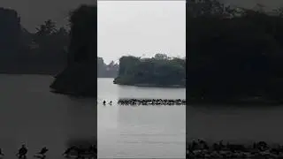 # relaxing birds sound # Lake # evening time # love # relaxing time #