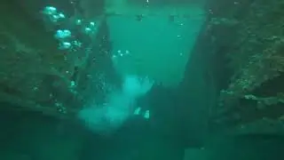 Diving the USS Oriskany with Niuhi Dive Charters