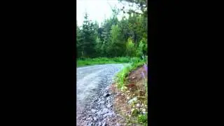 Trail Creek Road Cabin, Bozeman, MT