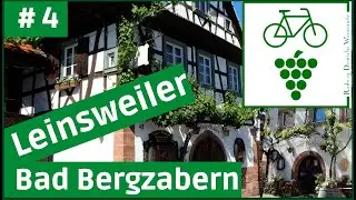 Deutsche Weinstraße 🍇(4) die Toscana Deutschlands - Leinsweiler - Bad Bergzabern [RADTOUR DOKU]