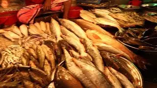 Amazing Smart Make Fish Trap Cut Fish Videos Long Whiskered Catfish Best Trap Cutting Fish
