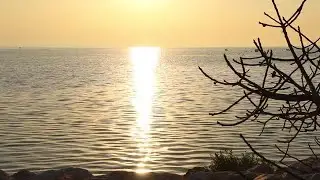Wide-angle Shot Of Calm Ocean Stock Video