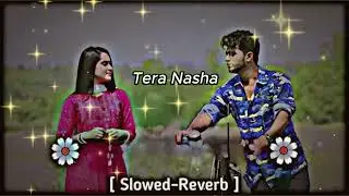 🎵 Tera Nasha 🎵Mind 🥰 relax songs in \\ Slow motion song / Lo-fi mashup (slowed and reverb)