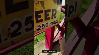 Agro Wisata Kebun Teh Wonosari - Lawang