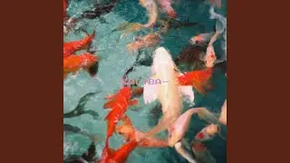 Cascade