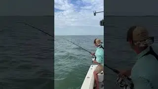 MASSIVE tarpon jumping out of the water!