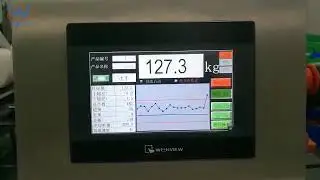 VFS5000B packing machine + vacuum lifting machine         for seasoning powder