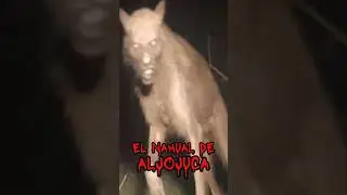 Terror rural , El Nahual de Aljojuca Pt.1 #shorts #viral #relatos #miedo #suspenso