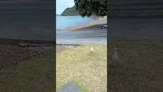Russell Island.  New Zealand ⛱️