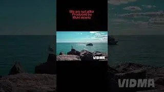 Muki sicario | we are not alike 