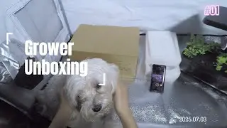 Grow Fresh Veggies in 5 Days! 🌱 Unboxing the Smartest Hydroponic Planter for Your Home
