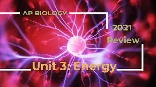 AP Biology Unit 3 Review