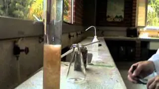 sedimentation test with filamentous bulking