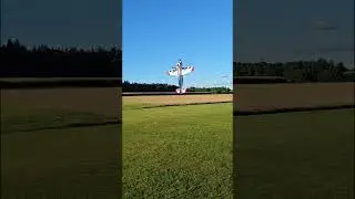 ...short flight..#rc #rcplane #extremeflight #flight #fly #3D