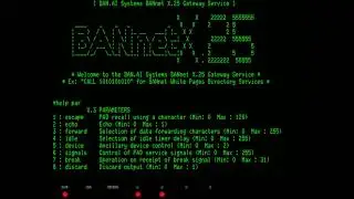 DEC VT102 on BANnet X.25 via 9600 baud modem link ⟶ X.28 PAD: Demos for CP/M-68K,  Multics, and more