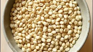 What is Barley? #shortnotes #agriculture #Cerealsplant #viralstudyguide #studentexams