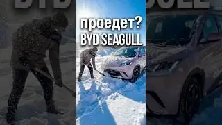 BYD SEAGULL выезд из сугроба на летней резине 🚜