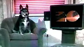 KOFY-TV 1992 San Francisco Station Bumper Identifier