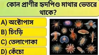 99% মানুষ এই প্রশ্নের উত্তর জানে না | Bangla GK Quiz | General Knowledge Question Answer #video #gk 