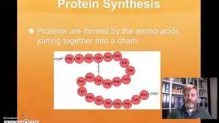 Year 9 Natural Science - DNA Structure