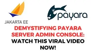 Ultimate Guide: Accessing Payara Server Admin Console in Minutes! 🔥