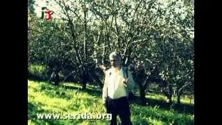 Variedades de manzana de la D.O.P.