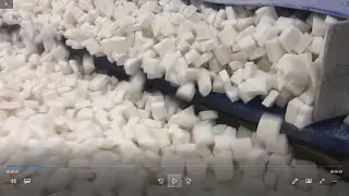 GBASE Technologies | IQF Freezing-Coconut white
