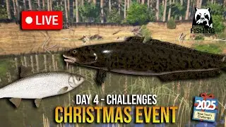 Day 4 PREMIUM Challenges - RF4