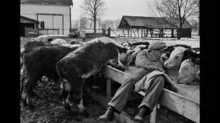 Images of James Dean by Dennis Stock