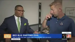 VIDEO: Dog finds bed bugs in your home