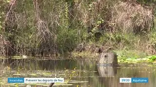Face au risque d'incendie, des bénévoles se mobilisent pour protéger la forêt des Landes