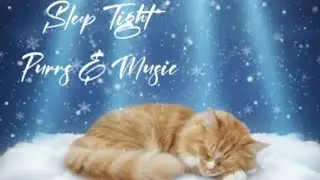 Cat Purr + Music for Sleep & Relaxation/Мурчание кота + музыка для сна и релаксации.