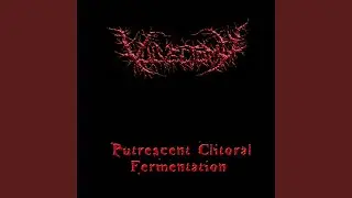 Festering Detached Genitals