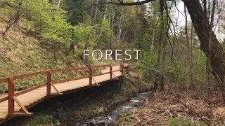 mini vlog | quarantine life (lost in the woods)