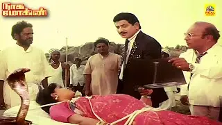 அவ பாம்பு இல்ல என் மனைவி லட்சுமி !! நாக மோகினி திரைப்படத்தின் சூப்பர் ஹிட் காட்சி #vijayashanti
