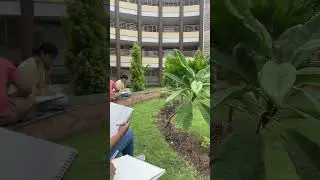 Live drawing ✍️ #shortvideo #vlogger #nift #niftians #niftpanchkula #niftdelhi #niftmumbai #designer