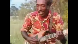 Guitarra