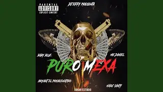 Puro Mexa