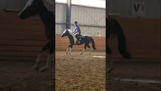 She's so cute🤍 // -J #horse #fyp #viral #equestrian #contentcreator