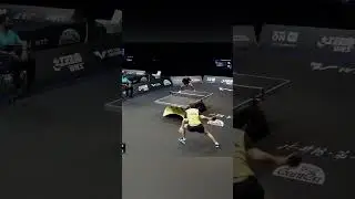 Amazing Rally #tabletennis #pingpong #shorts