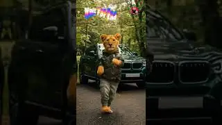 Funny Tiger Dance Cute 🥰🐯 | Dance | Dance Cute Funny #shorts #viralshorts #trending #funny #tiger